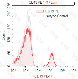 PE anti-human CD19