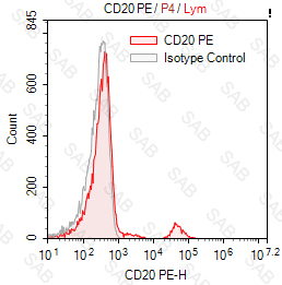 PE anti-human CD20