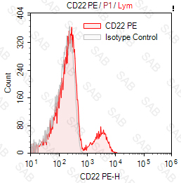 PE anti-human CD22