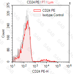 PE anti-human CD24