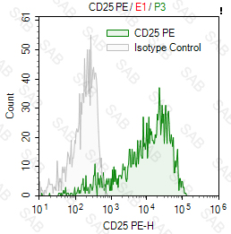 PE anti-human CD25