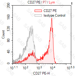 PE anti human CD27