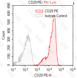 PE anti-human CD29