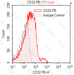 PE anti-human CD32