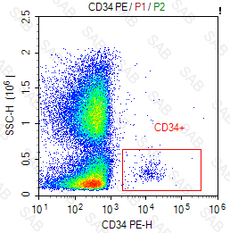 PE anti-human CD34