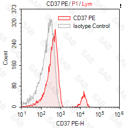 PE anti-human CD37