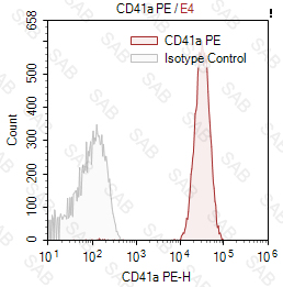 PE anti-human CD41a