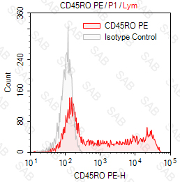 PE anti-human CD45RO