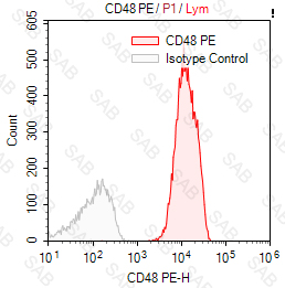 PE anti-human CD48