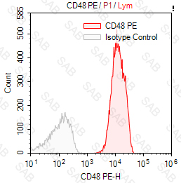 PE anti-human CD48