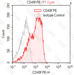 PE anti-human CD49f