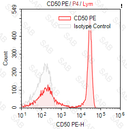 PE anti-human CD50