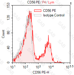 PE anti-human CD56