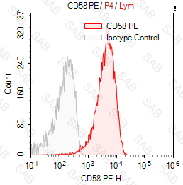 PE anti-human CD58