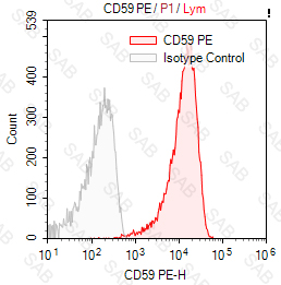 PE anti-human CD59