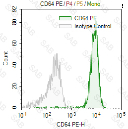 PE anti-human CD64