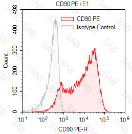PE anti-human CD90