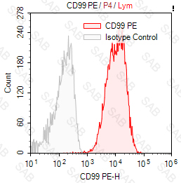 PE anti-human CD99