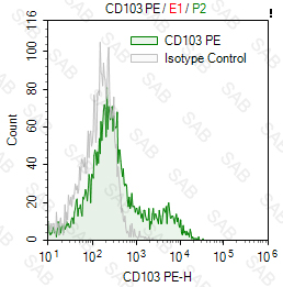 PE anti-human CD103