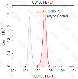 PE anti-human CD105