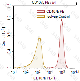 PE anti-human CD107b