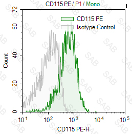 PE anti-human CD115