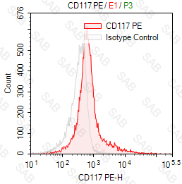 PE anti-human CD117