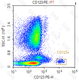 PE anti-human CD123