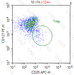 PE anti-human CD127