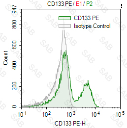 PE anti-human CD133