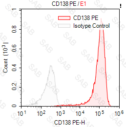 PE anti-human CD138