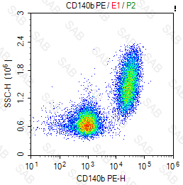 PE anti-human CD140b