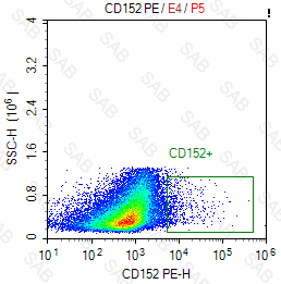 PE anti-human CD152