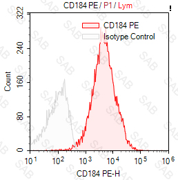 PE anti-human CD184