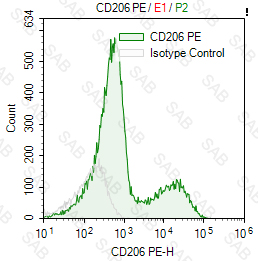 PE anti-human CD206