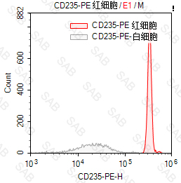 PE anti-human CD235