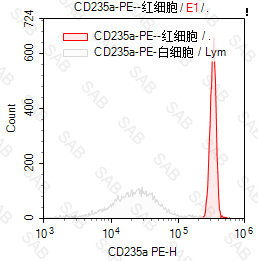 PE anti-human CD235a