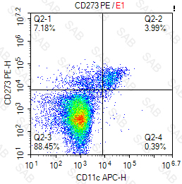 PE anti-human CD273