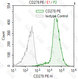 PE anti-human/mouse/rat CD278 (ICOS)