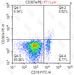 PE anti-human CD307e