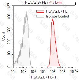 PE anti-human HLA A2 B7 (MHC Class I)