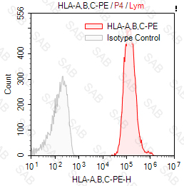 PE anti-human HLA-A B C（HLA Class I）