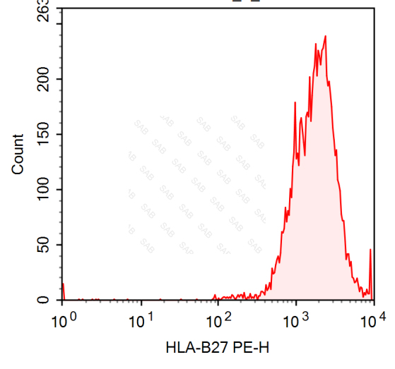 PE anti-human HLA-B27