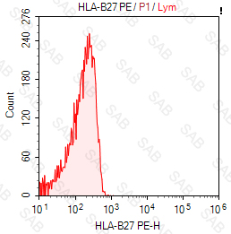 PE anti-human HLA-B27