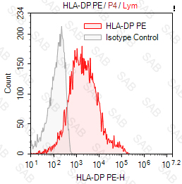 PE anti-human HLA-DP (MHC Class II) Monomorphic