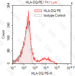 PE anti-human HLA-DQ (MHC Class II)