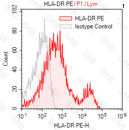 PE anti-human HLA-DR