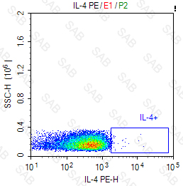 PE anti-human IL-4