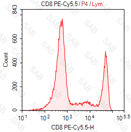 PE-Cy5.5 anti-human CD8