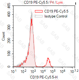 PE-Cy5.5 anti-human CD19